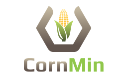 CornMin